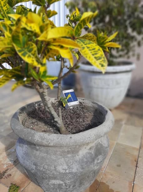 Foto de um sensor LoRa