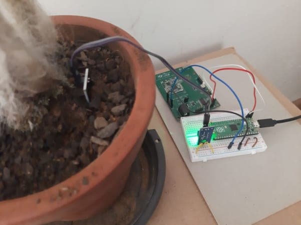 Sensor Smart Modular em jardinagem